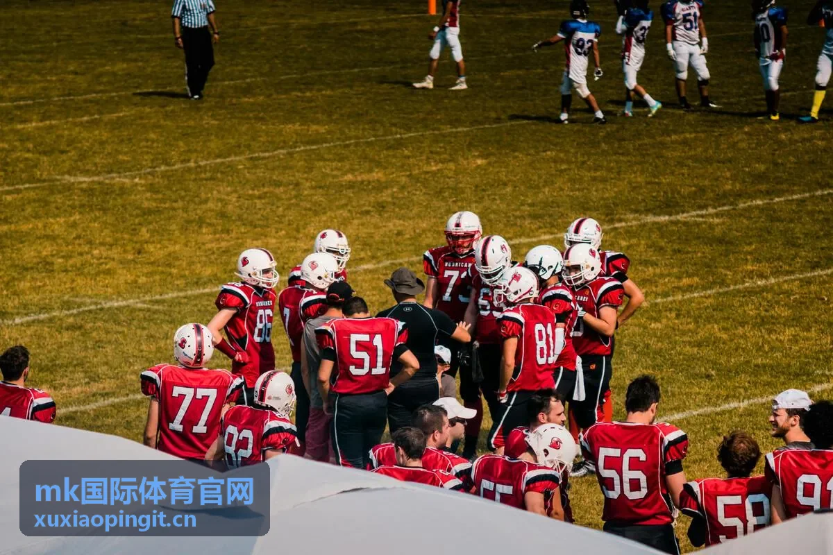 mk国际体育官网涉外体育商务协同场景示意